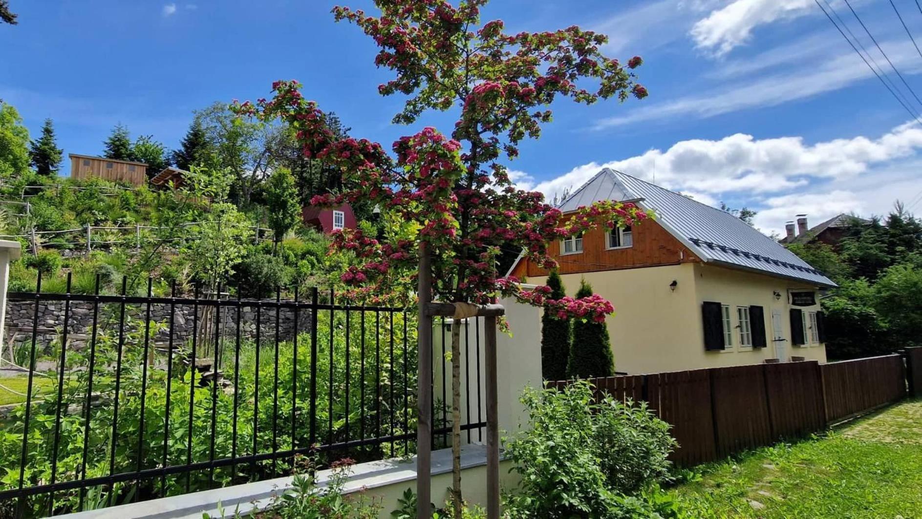 Banská Štiavnica Siglisberg 빌라 외부 사진